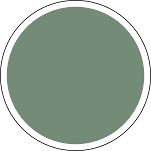 Matt Sage Green Superdec